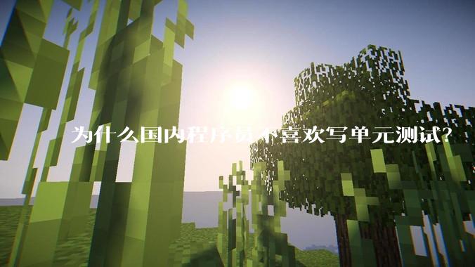 为什么国内程序员不喜欢写单元测试？