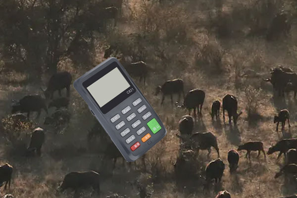 个人pos机哪里可以免费？免费办理需要哪些条件