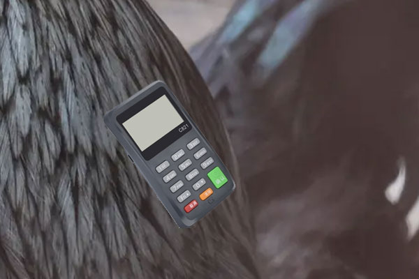 pos机开不了机怎么回事?无法开机怎么处理