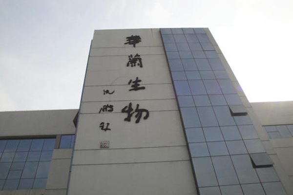 华兰生物四价流感疫苗批签发量1256万支，实现收入30.73亿元