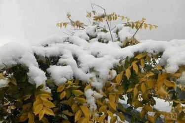 全国多地喜迎初雪，今冬或将迎来60年最冷冬天